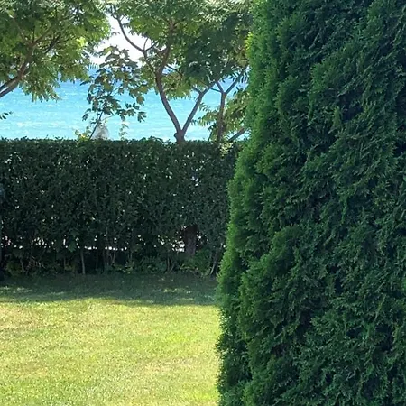 Apartament Bela-alex