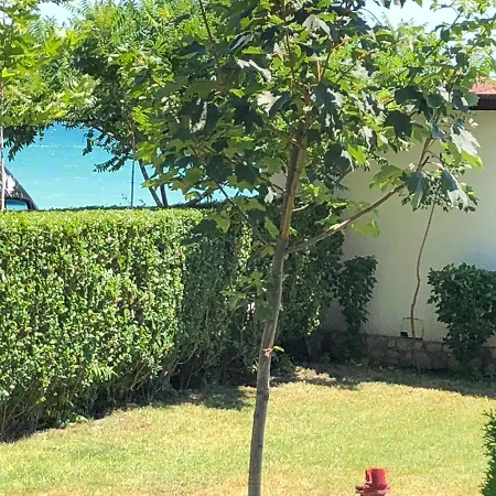 Bela-alex Apartmán Ravda