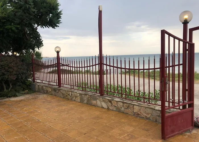 Bela-alex * 라브다