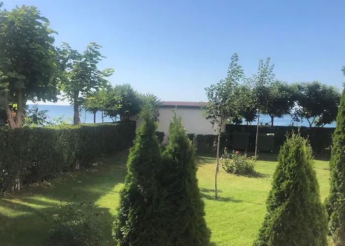 Bela-alex * 라브다