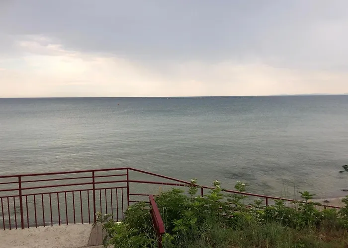 Bela-alex * 라브다